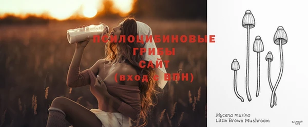 прущий лед Алексеевка