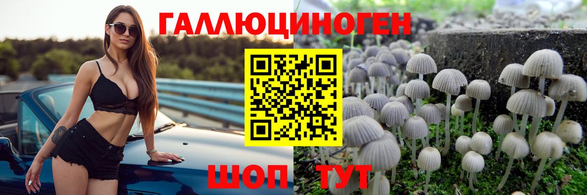 Галлюциногенные грибы Psilocybine cubensis  Вход с VPN  Галлюциногенные грибы Psilocybe  Донецк 